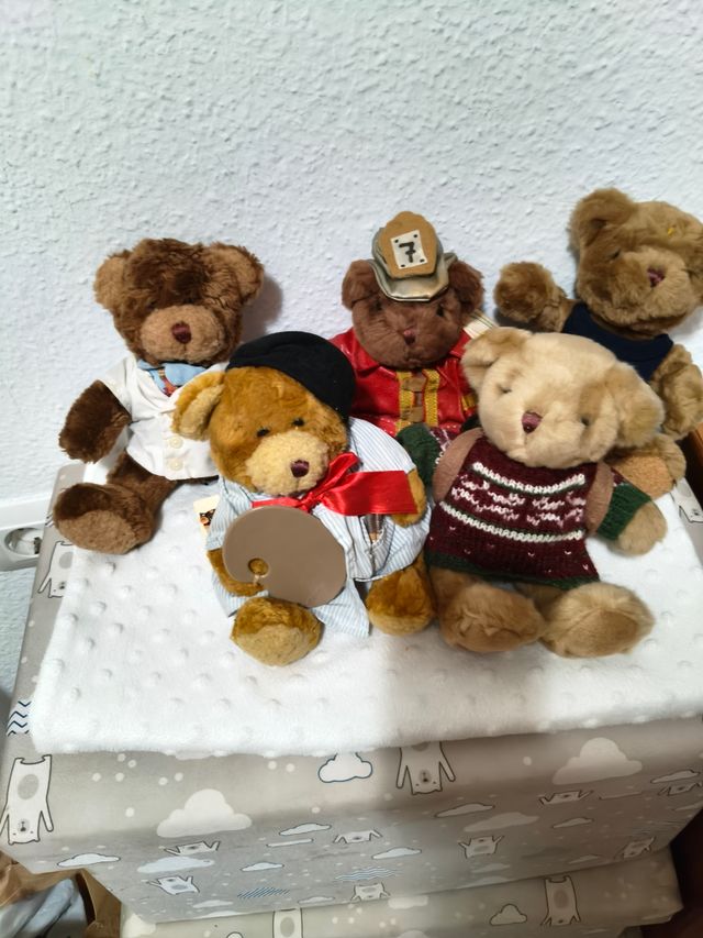 Colección 5 Ositos The Teddy Bear