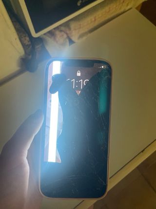 iPhone 12 Pro Max Roto