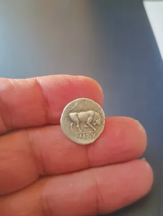 Denario Octavio Augusto - plata / moneda romana 
