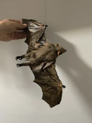 Vampiro Transilvania realista