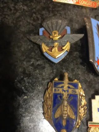 Lote insignias militares Francia