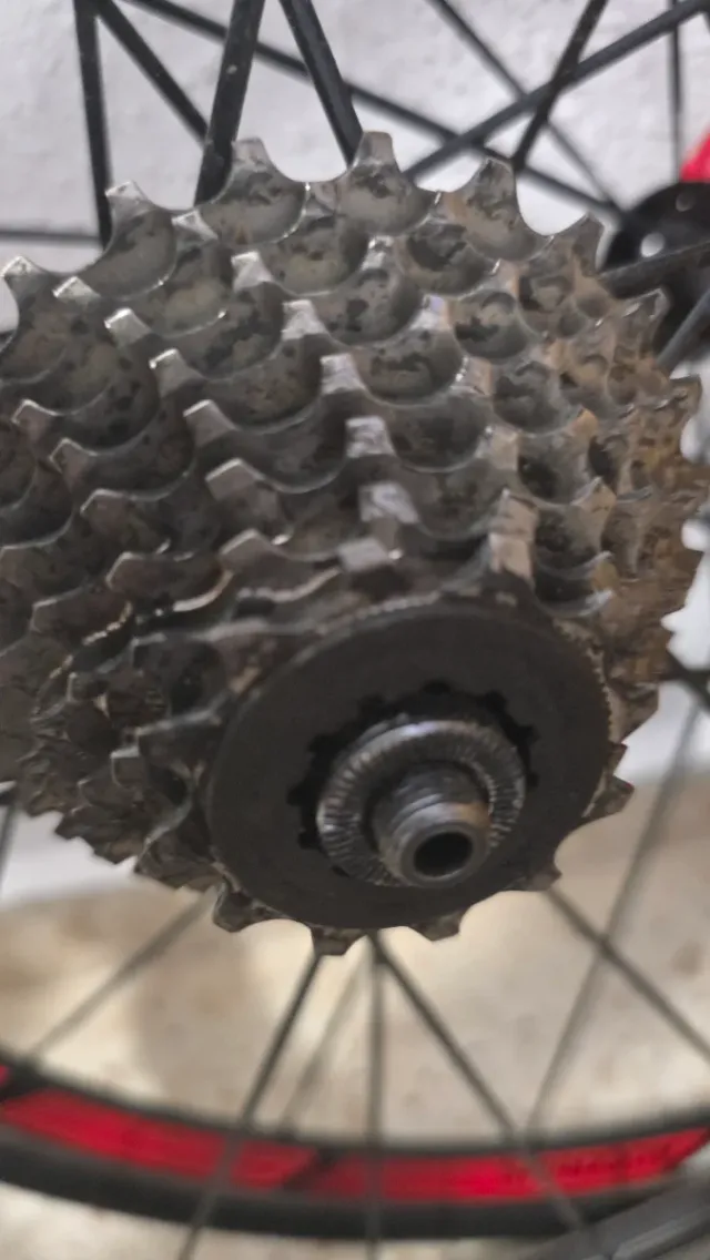 Cambio trasero y cadena bicicleta piñonera