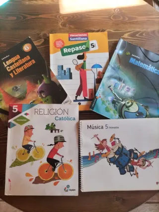 Lote libros Primaria Santillana /Edelvives todo 7€