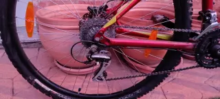 Bici Montaña Specialized 29 Talla M