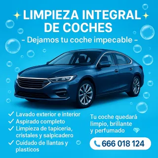 Limpieza integral de coches