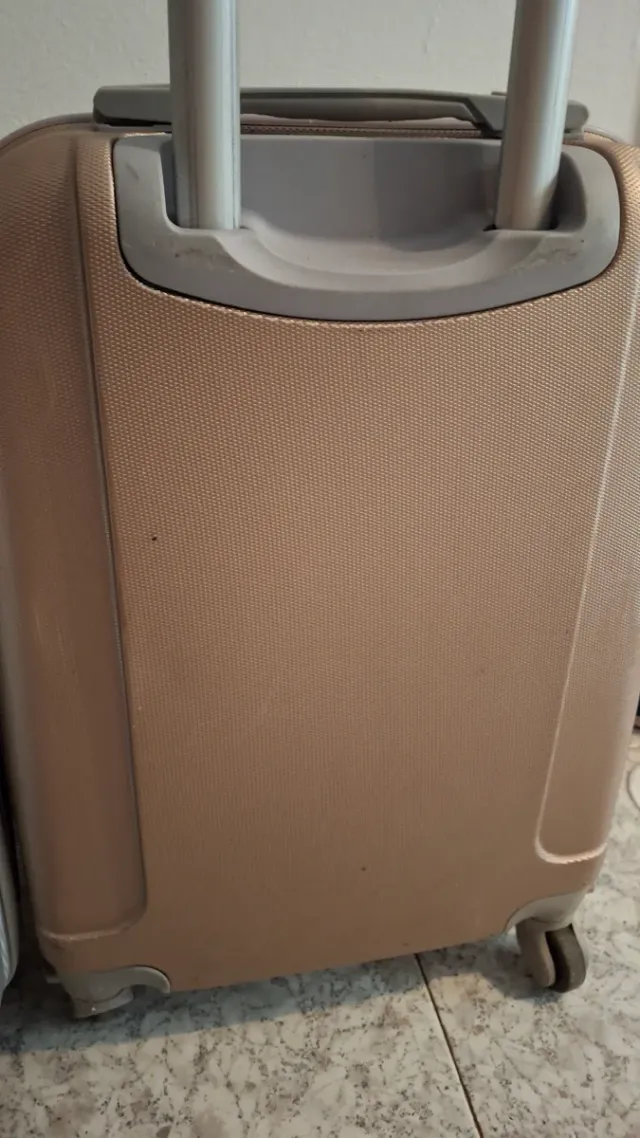 Maletas de viaje plateada y dorada