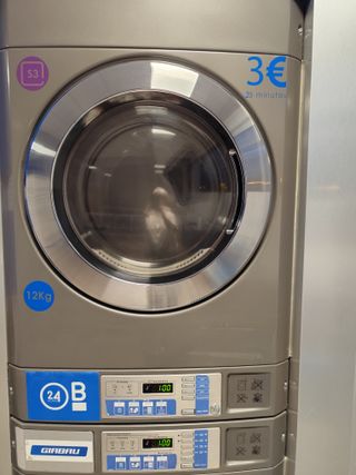 Secadora Profesional LG 12KG Gas