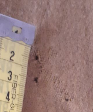 Sciarpa vintage in lana