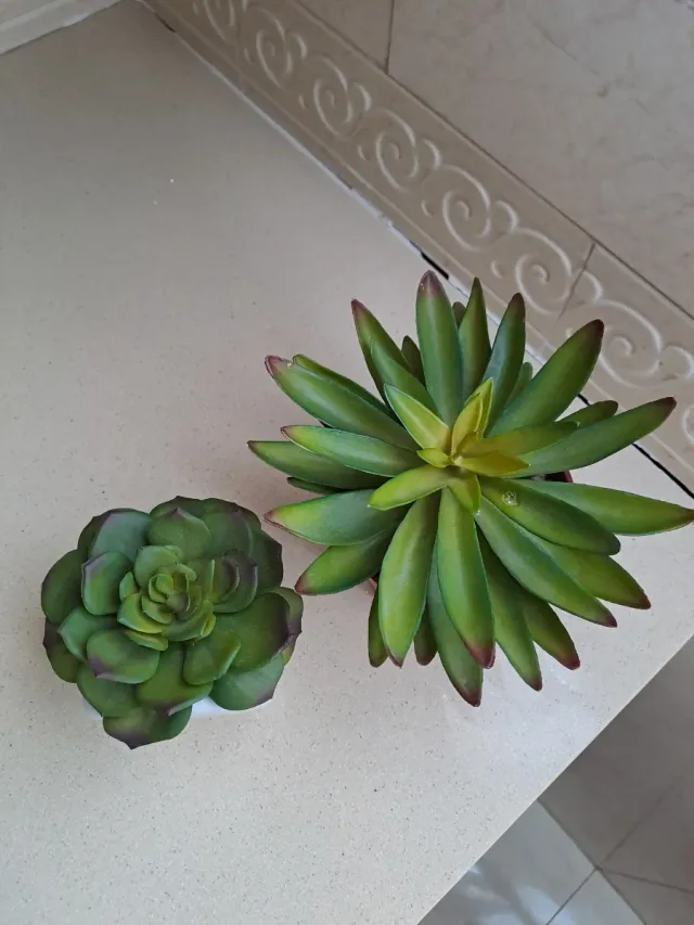 2 piante artificiali decorative