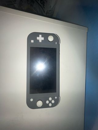 Nintendo Switch Lite Gris + Estuche