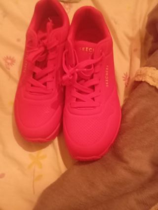 Zapatillas Skechers Rojas Nuevas Sin Usar