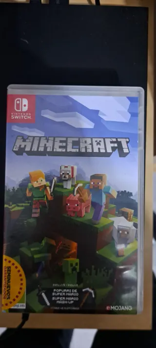 Minecraft Nintendo Switch
