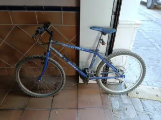 Bicicleta Cadete Racing 124-X