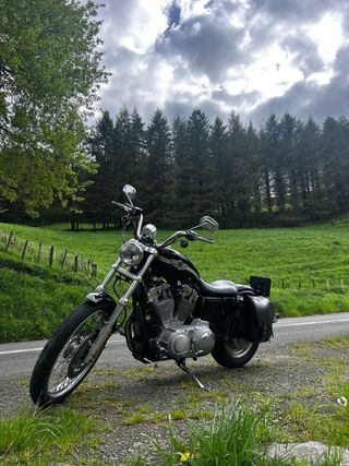 Harley Davidson 883 100 Aniversario