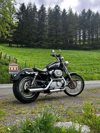 Harley Davidson 883 100 Aniversario