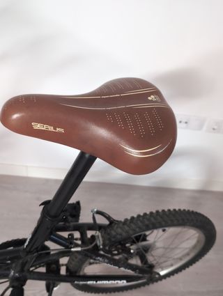 Bicicleta Plegable Mulberry Negra