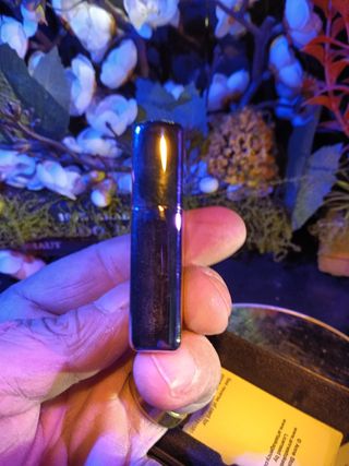 Zippo Anne Stokes Original
