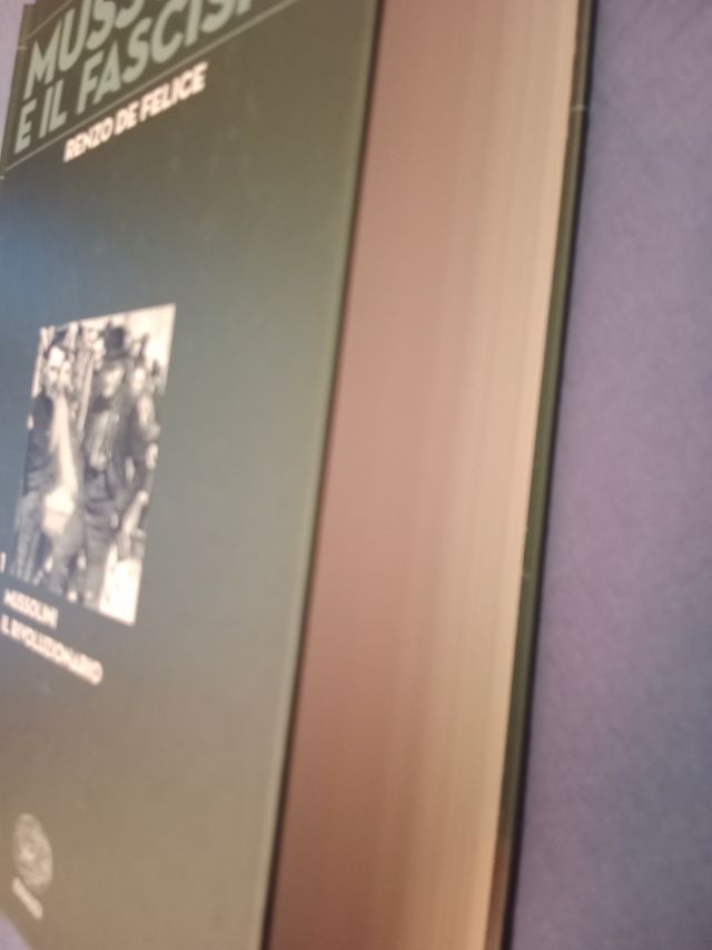 Mussolini il rivoluzionario, 761 pagine 