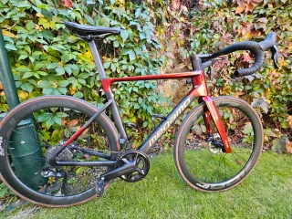 Bicicleta de carretera Megamo Pulse Elite 2025