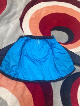 Abrigo Hackett Niño 2-3 Años Azul Marino