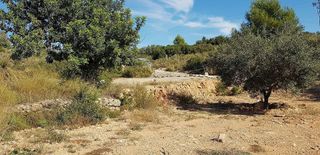 Terreno en venta en Cheste