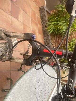 Bicicleta Orbea Alma 29