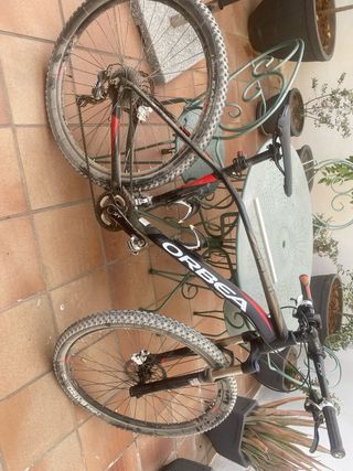 Bicicleta Orbea Alma 29