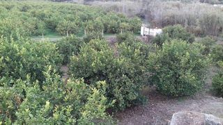 Chalet en venta en Pizarra