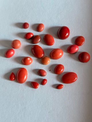 Cabujones Coral para anillos, pendientes