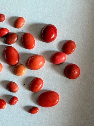 Cabujones Coral para anillos, pendientes