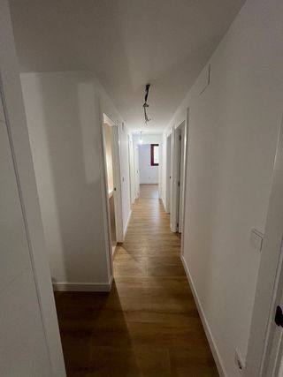 Piso en alquiler en San Pedro de Deusto-La Ribera en Bilbao