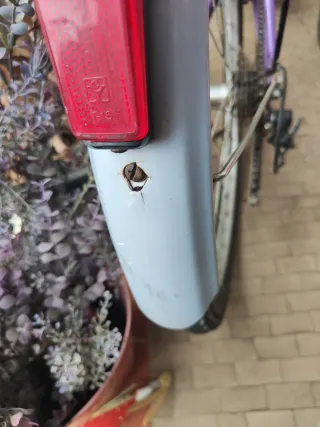 Bicicleta Paseo Colver Violeta