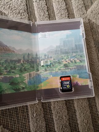 Zelda Echoes of Wisdom Nintendo Switch