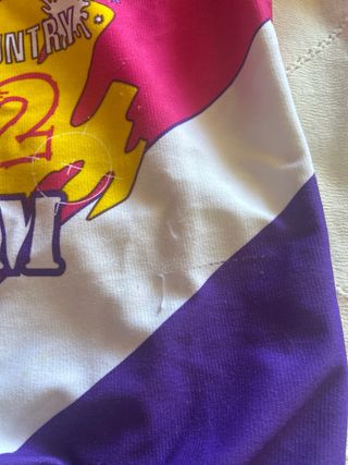 Maillot Ciclismo Niño. T 8. Racing Country