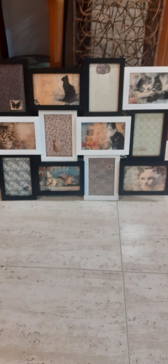 Cornici per foto con gatti