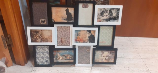 Cornici per foto con gatti