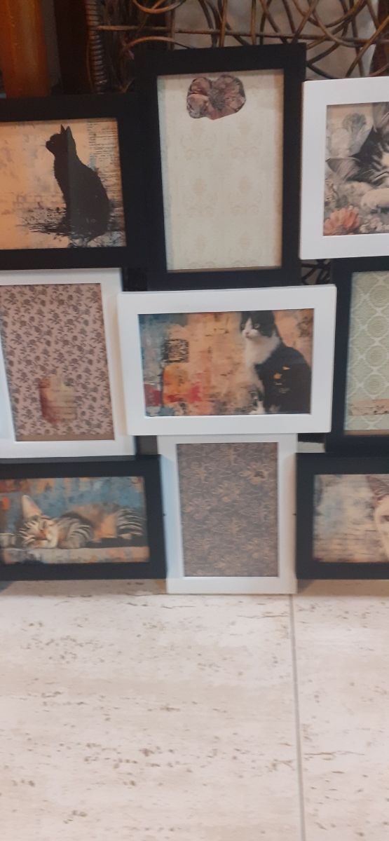 Cornici per foto con gatti