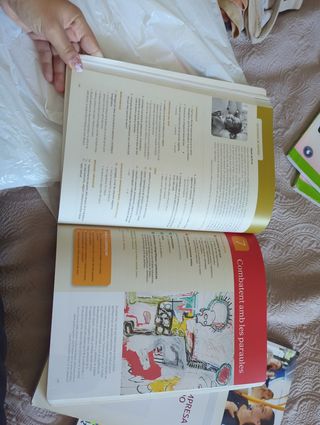 Llengua I Literatura, 2 Batxillerat