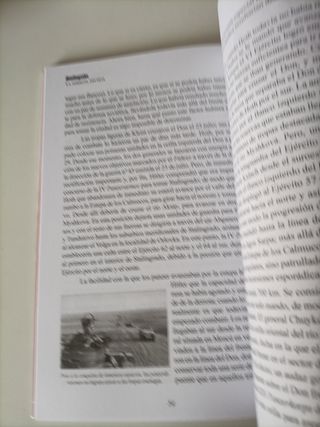 Stalingrado: La derrota decisiva