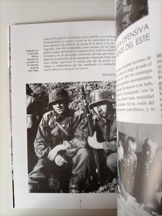 La División Wiking en el Cáucaso 1942-1943