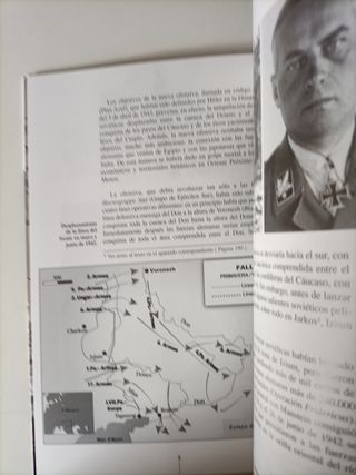 La División Wiking en el Cáucaso 1942-1943