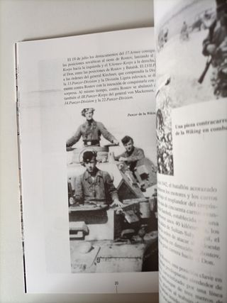 La División Wiking en el Cáucaso 1942-1943