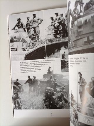 La División Wiking en el Cáucaso 1942-1943