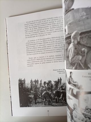 La División Wiking en el Cáucaso 1942-1943