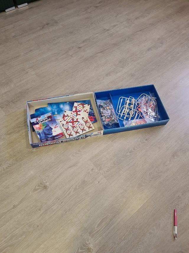 El Cuerpo Humano Juego Clementoni