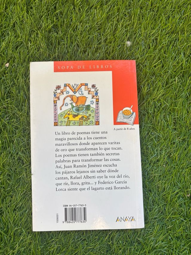 Mi primer libro de poemas