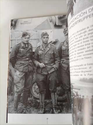 Panzer IV (Lang) en combate.: El caballo de bat...