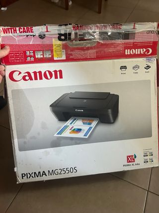 Impresora Canon PIXMA MG2550S