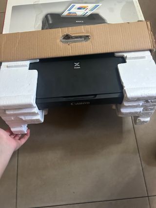 Impresora Canon PIXMA MG2550S