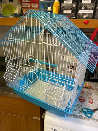 Gabbia per uccellini azzurra e bianca